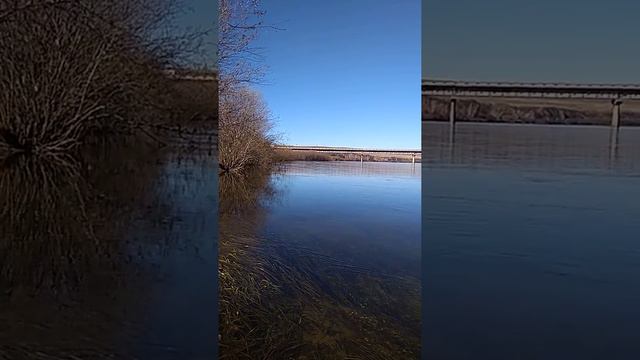 О том, что я несчастен врут... я жаден до всего вокруг. смотреть онлайн
