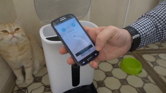 Обзор умной кормушки PetWant