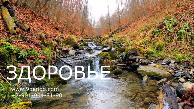 ? ?? ОКТЯБРЬ 2021 ТЕНДЕНЦИИ МЕСЯЦА! ? ?? смотреть онлайн