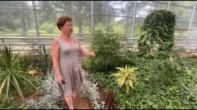 Экскурсия - Оранжерея СЮН смотреть онлайн