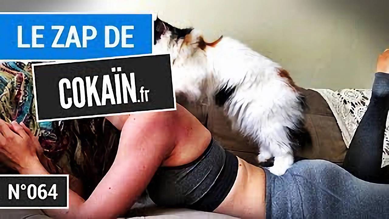 Le Zap De Cokaïn.fr N°064