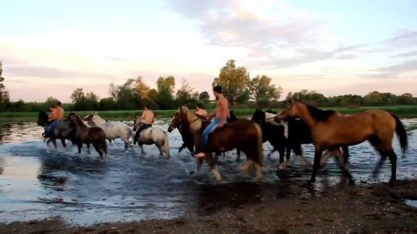 Купание красного коня/Photography workshop "Bathing the Red Horse"