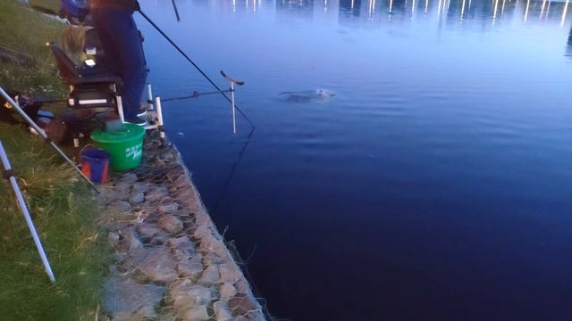 КРУПНЫЙ ЛЕЩ Ночная рыбалка 2020 смотреть онлайн