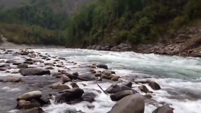 Ока Саянская за грибами ;-) смотреть онлайн