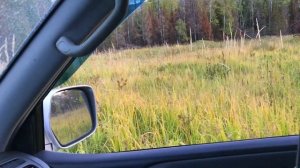 Ямантау Межгорье 2022. В окрестностях самого закрытого города, возле самой секретной горы РФ! Часть