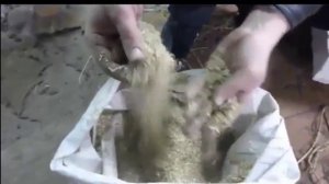 Измельчение зерна и люцерны и гранулирование комбикормов