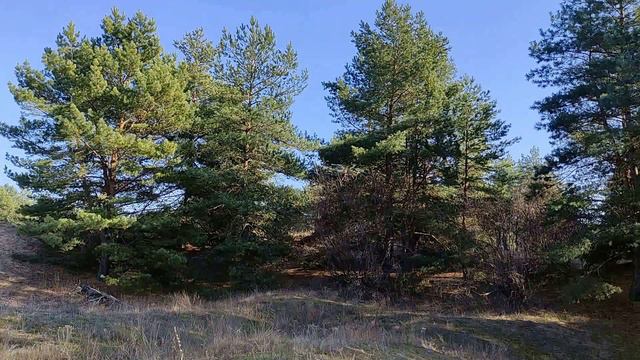 7 женских имен с самой сильной энергетикой...Волевой характер и счастливая судьба... смотреть онлайн