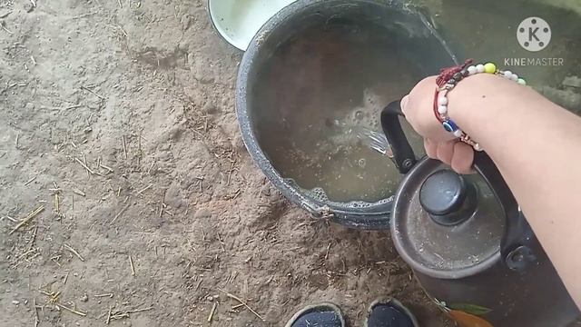 Как сохранить удой молока у коров смотреть онлайн