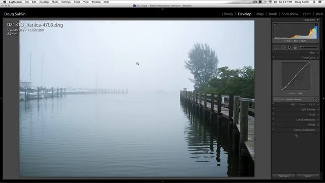 Create Black and White Images with Silver Efex Pro смотреть онлайн