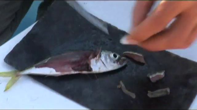 Рыбалка на Черном море 2 http://trey.ueuo.com смотреть онлайн