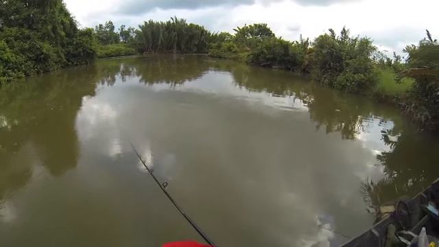 Mancing Barramundi Di Muara jorong kalsel смотреть онлайн
