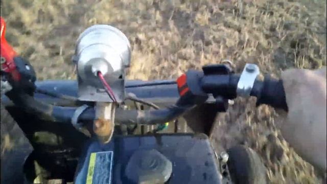 Муха на колесах. смотреть онлайн