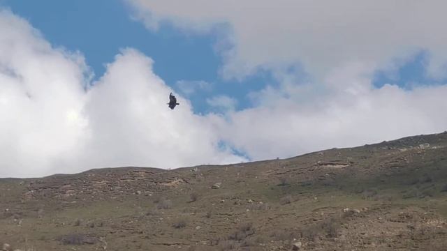 ветеран Шерман КБР Баксан - чегемское ущелье ч 6 смотреть онлайн