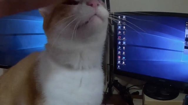 【マイク、カメラ】　買っちゃいました‼　marantz POD PACK1 смотреть онлайн