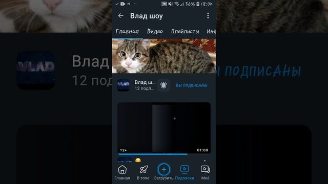 факты о влад шоу!!!! смотреть онлайн