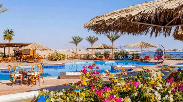 Club Reef Resort, Sharm El Sheikh, Egypt