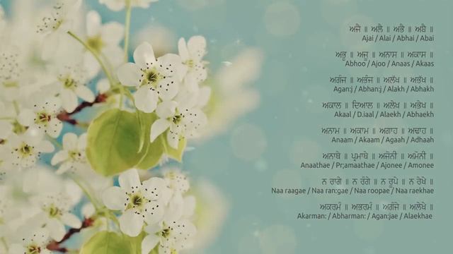 Ajai Alai Mantra for Being In Your Power & to Develop Radiant Body online video cutter com смотреть онлайн