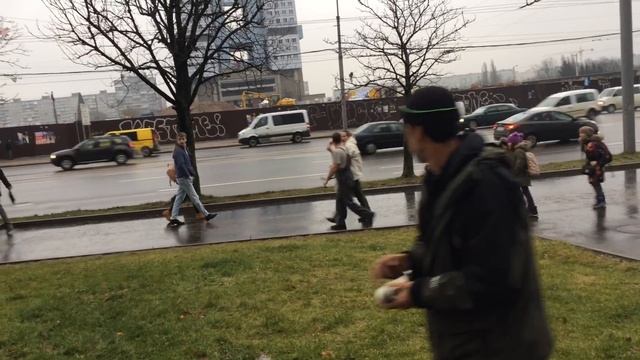 Спасение Лебедя в Калининграде смотреть онлайн