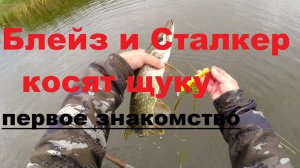 Блейз и Сталкер Отлично ловят щуку