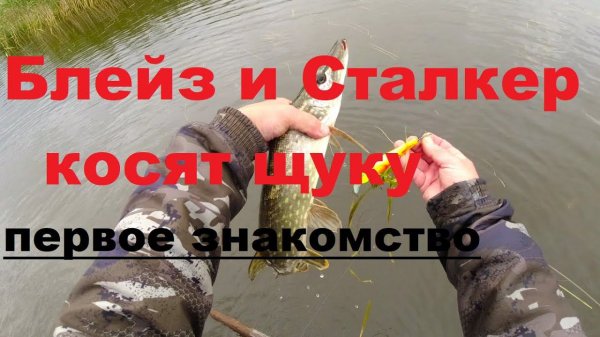 Блейз и Сталкер Отлично ловят щуку