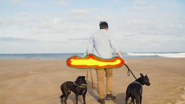 ЗАЧЕМ СОБАКИ ЭТО ДЕЛАЮТ??? смотреть онлайн