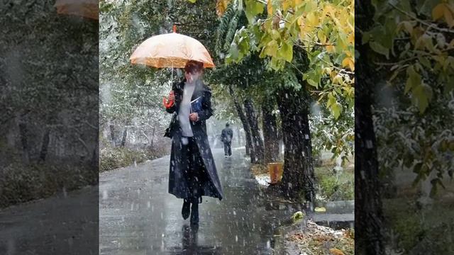 Шоди (Три пути ,три дальние дороги) смотреть онлайн