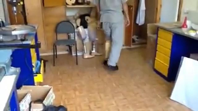 Протез голени смотреть онлайн