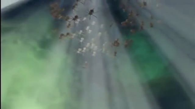 What Are Bacteriophages & How Do Phage Viruses Work? (w/ Animation) смотреть онлайн