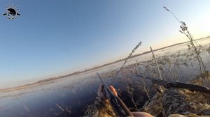 Открытие охоты на селезней с чучелами и духовыми манками