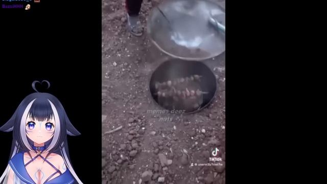 Shylily Reacts | Memes to watch at 3am | Funny videos смотреть онлайн