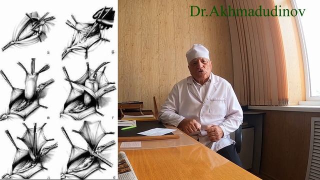 Грыжи, грыжесечение. Часть 1. Профессор Ахмадудинов М.Г. смотреть онлайн