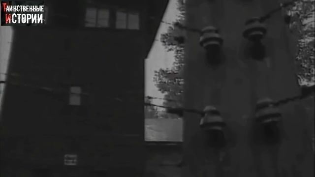 12-летний УЗНИК ОСВЕНЦИМА, Воспоминания Анатолия Ванукевича. "Мы живы на этих страницах", 3 серия смотреть онлайн