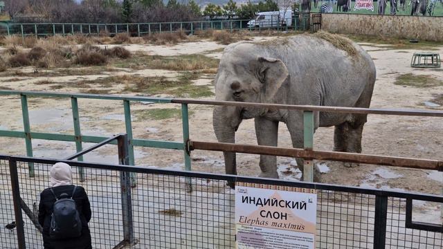 Дженни сделала девушке чудесный кадр! Тайган смотреть онлайн