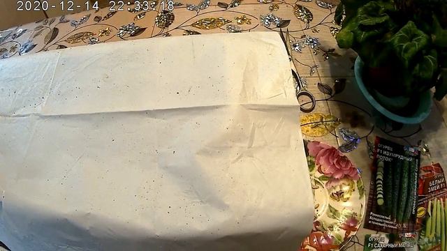 Выбираю семена на рассаду огурцов смотреть онлайн
