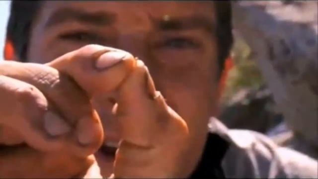 Bear Grylls Allergic To Bees