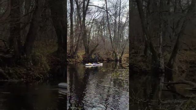 На сапбордах в ноябре к Чёрному озеру #сапборд #сапсерфинг #sup смотреть онлайн
