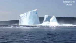 Как появляются айсберги