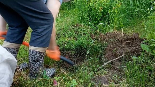 Легкий Перекус и Реанимация Умирающего смотреть онлайн