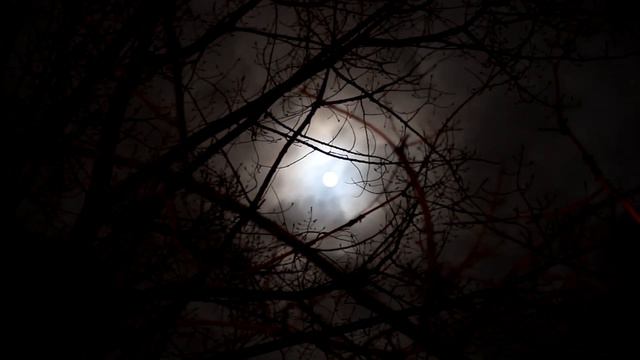 История на ночь - Тихий омут смотреть онлайн