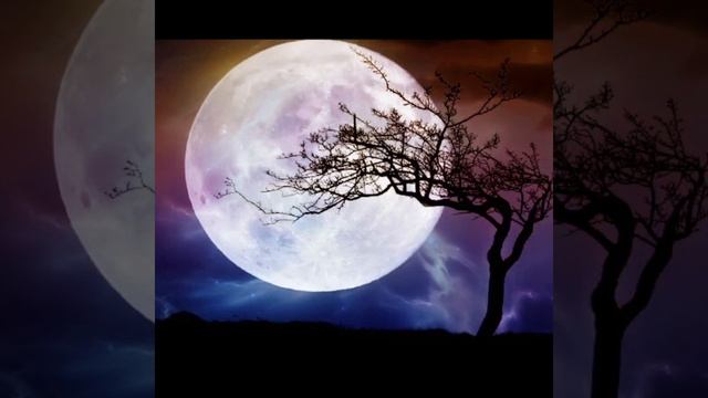 ЭТО НУЖНО СДЕЛАТЬ В ПОЛНОЛУНИЕ / ПЕРЕСЧИТАЙТЕ ДЕНЬГИ В КОШЕЛЬКЕ / ОБРЯД В ПОЛНОЛУНИЕ / НА ПРИБЫЛЬ / смотреть онлайн