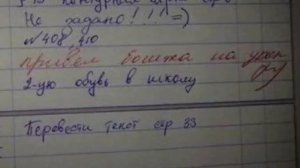 Самые смешные записи в дневниках