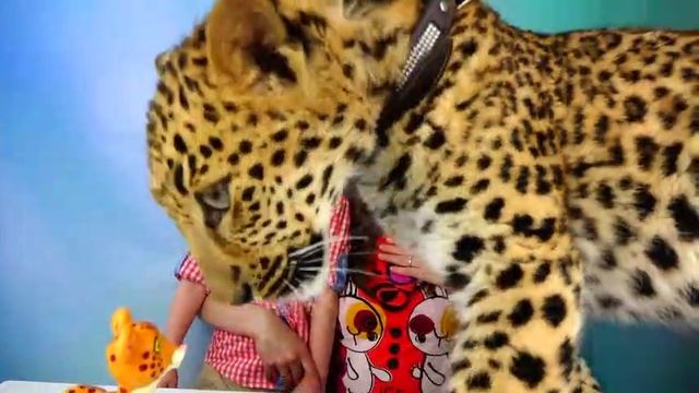 Обычная Еда против Мармелада - Челлендж! Мама ПЛАЧЕТ! Real Food Vs Gummy Food - Candy Challenge