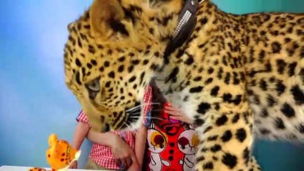 Обычная Еда против Мармелада - Челлендж! Мама ПЛАЧЕТ! Real Food vs Gummy Food - Candy Challenge