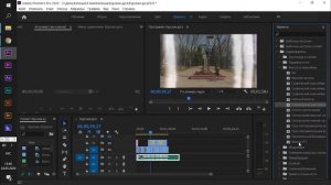 Обработка ЗВУКА в PREMIERE PRO / Урок 8