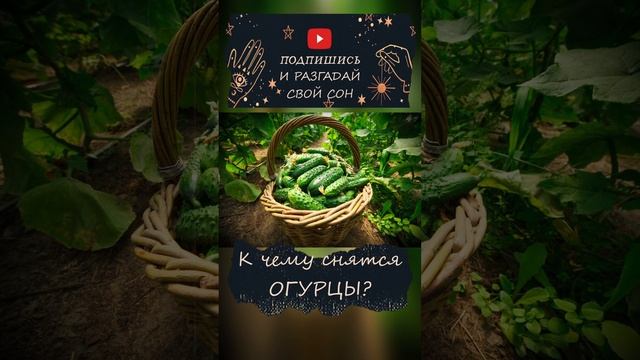 К чему снятся ОГУРЦЫ #shorts #кчемуснится #сонвруку смотреть онлайн