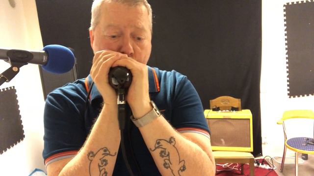 Nine Below Zero Blues - Harmonica Hawk смотреть онлайн