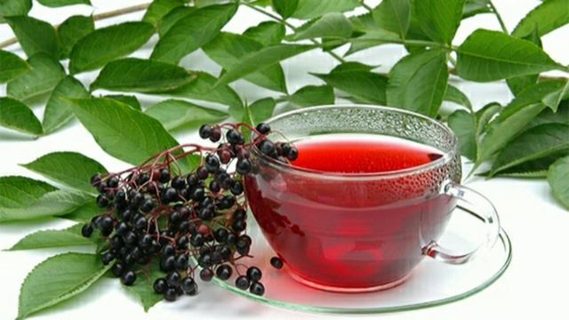 ПОЧКИ, ОНКОЛОГИЮ, ГЕПАТИТ, ЖЕЛЧНЫЙ, ПРОСТУДУ - ЛЕЧИТ БУЗИНА ЧЕРНАЯ. смотреть онлайн