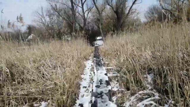 Вот такое у нас есть дерево смотреть онлайн