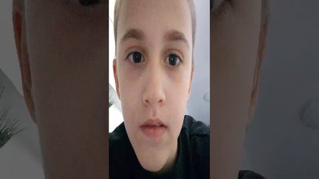 трансляция смотреть онлайн