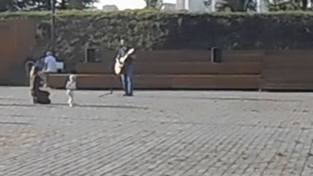 Праздник посвященный дню ВДВ